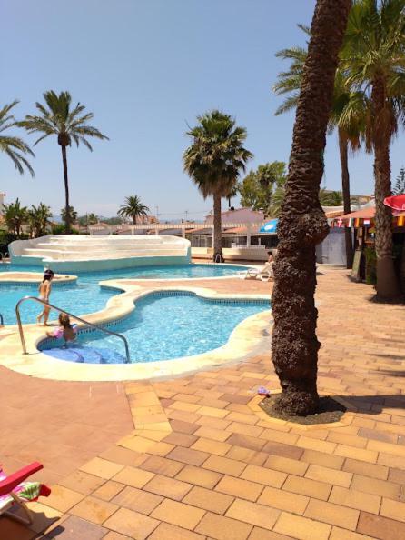 Estudio Alfil-piscina
